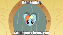 Size: 600x337 | Tagged: safe, rainbow dash, pony, g4, party of one, season 1, cute, female, image macro, meme, solo