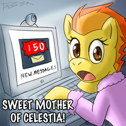 Size: 1000x1000 | Tagged: safe, artist:pluckyninja, spitfire, pegasus, pony, tumblr:sexy spitfire, g4, clothes, computer, computer screen, female, keyboard, mare, mother of celestia, mother of god, robe, solo, stupid sexy spitfire, tumblr, webcam