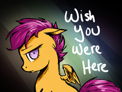 Size: 800x600 | Tagged: safe, artist:xarakayx, scootaloo, g4, abandoned, implied scootabuse, pink floyd, sad, wish you were here