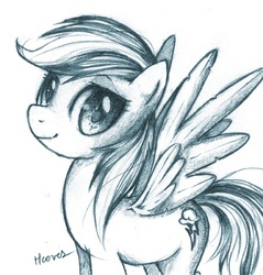 Size: 500x523 | Tagged: safe, artist:derpiihooves, rainbow dash, pony, g4, female, solo