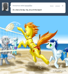 Size: 998x1082 | Tagged: safe, artist:pluckyninja, fleetfoot, silver lining, silver zoom, soarin', spitfire, pegasus, pony, tumblr:sexy spitfire, g4, beach, bikini, bipedal, clothes, male, rearing, stallion, stupid sexy spitfire, swimsuit, topless, volleyball