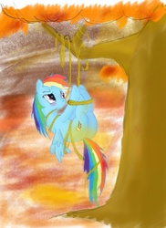 Size: 1521x2089 | Tagged: safe, artist:peperoger, rainbow dash, g4, rope, tied up