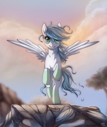 Size: 798x946 | Tagged: dead source, safe, artist:ruhje, oc, oc only, pegasus, pony, cloud, coat markings, female, looking up, mare, rock, running, socks (coat markings), solo, spread wings, taking off, wings