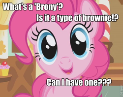 Size: 528x416 | Tagged: safe, edit, edited screencap, screencap, pinkie pie, earth pony, pony, applebuck season, g4, season 1, brony, brownie, cute, female, image macro, mare, pun, solo