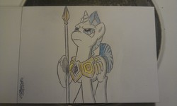 Size: 3264x1952 | Tagged: artist needed, safe, pony, solo, spear, traditional art, weapon