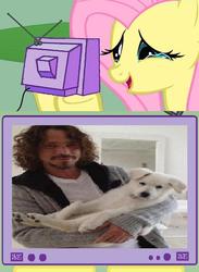 Size: 563x771 | Tagged: safe, fluttershy, dog, g4, chris cornell, cute, euphoria morning, fluttergirl, lyrics, puppy, soundgarden