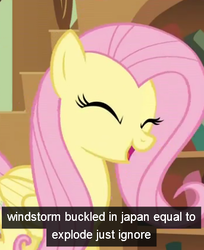 Size: 343x420 | Tagged: safe, edit, edited screencap, screencap, fluttershy, pony, a bird in the hoof, g4, my little pony: friendship is magic, explosion, female, japan, solo, youtube, youtube caption