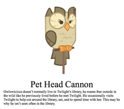 Size: 623x551 | Tagged: safe, owlowiscious, bird, owl, g4, meta, pet, text