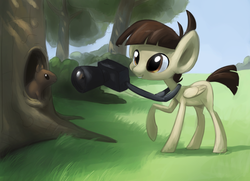 Size: 1024x740 | Tagged: safe, artist:grissaecrim, artist:php27, featherweight, pegasus, pony, squirrel, g4, camera, colt, male, tree