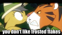 Size: 960x540 | Tagged: safe, edit, edited screencap, screencap, daring do, big cat, cat, pony, tiger, g4, ahuizotl's cats, angry, animal, boop, caption, female, frosted flakes, image macro, mare, nose wrinkle, noseboop, snarling, startled, tony the tiger, wide eyes