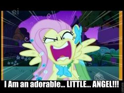 Size: 600x450 | Tagged: safe, edit, edited screencap, screencap, fluttershy, pegasus, pony, g4, season 1, the best night ever, angry, caption, cats don't dance, clothes, darla dimple, dress, ei, female, flutterrage, gala dress, hub logo, movie quote, roflbot, solo, speed lines