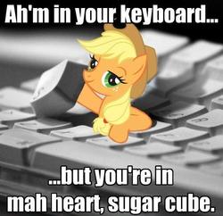 Size: 499x483 | Tagged: safe, applejack, earth pony, pony, g4, accent, bronybait, female, i hid in your keyboard, image macro, keyboard, mare, stock vector, sugarcube
