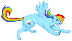 Size: 826x470 | Tagged: safe, artist:kainaa, rainbow dash, big cat, lion, g4, female, lionbow dash, lioness, lionified, simple background, solo, species swap, transparent background, wings