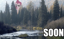 Size: 946x576 | Tagged: safe, pinkie pie, earth pony, pony, g4, fishing, forest, giant pony, image macro, macro, soon