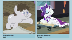 Size: 555x309 | Tagged: safe, princess platinum, rarity, truffle shuffle, earth pony, pony, g4, colt, male, meme, shipyard lulz, vector