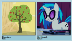 Size: 538x307 | Tagged: safe, bloomberg, dj pon-3, vinyl scratch, pony, unicorn, g4, apple, bloomscratch, cutie mark, female, food, horn, mare, meme, shipping, shipyard lulz, smiling, solo, sunglasses, teeth, text, tree, vector, vinyl's glasses