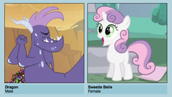 Size: 543x306 | Tagged: safe, sweetie belle, pony, g4, meme, shipyard lulz, vector