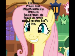 Size: 600x450 | Tagged: safe, fluttershy, g4, hate, meta