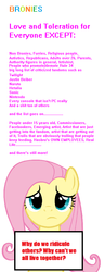 Size: 390x1004 | Tagged: safe, fluttershy, g4, annoyed, message, meta, sad, text, tl;dr