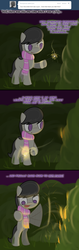 Size: 801x2519 | Tagged: safe, artist:erthilo, octavia melody, earth pony, pony, ask octavia, g4, ask, bipedal, clothes, comic, female, fire, mare, night, no pupils, scarf, solo, tumblr