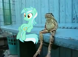 Size: 478x349 | Tagged: safe, lyra heartstrings, frog, pony, g4, bench, irl, meme, photo, ponies in real life, sitting, sitting lyra, vector