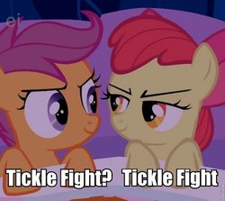 Size: 680x606 | Tagged: safe, apple bloom, scootaloo, g4, bed, caption, image macro, smirk, tickle fight, tickling