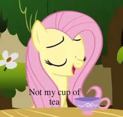 Size: 320x304 | Tagged: safe, edit, edited screencap, screencap, fluttershy, pegasus, pony, g4, season 1, stare master, cropped, cup, eyes closed, female, mare, open mouth, open smile, pink hair, pink mane, smiling, solo, teacup, yellow body, yellow coat, yellow fur, yellow pony