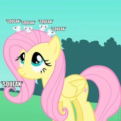 Size: 600x599 | Tagged: safe, fluttershy, mouse, g4, caption, squeak