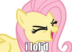 Size: 655x480 | Tagged: safe, fluttershy, g4, lol, reaction image