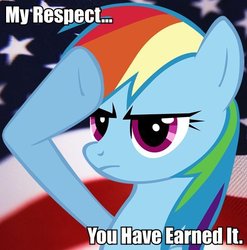 Size: 486x492 | Tagged: safe, rainbow dash, g4, caption, flag, image macro, rainbow dash salutes, reaction image, salute, united states