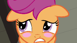 Size: 720x405 | Tagged: safe, screencap, scootaloo, pony, g4, ponyville confidential, animated, blushing, female, gritted teeth, out of context, solo