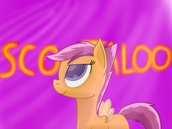 Size: 1600x1200 | Tagged: safe, artist:flashiest lightning, scootaloo, pony, g4, female, solo, wallpaper