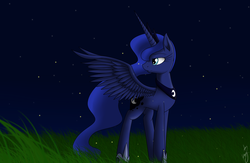 Size: 2000x1300 | Tagged: safe, artist:kyroking, princess luna, pony, g4, female, grass, looking back, night, solo