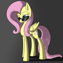 Size: 900x900 | Tagged: safe, artist:kyroking, fluttershy, g4, sunglasses