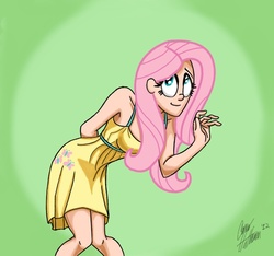 Size: 775x724 | Tagged: safe, artist:ceehoff, fluttershy, human, g4, clothes, dress, humanized, solo