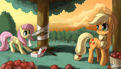 Size: 1500x857 | Tagged: safe, artist:johnjoseco, applejack, fluttershy, earth pony, pegasus, pony, g4, apple, applejack's hat, artifact, bandage, caring, cowboy hat, cute, duo, female, freckles, grass, hat, innocent, mare, medic, sweat, sweet apple acres, tree