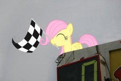 Size: 680x453 | Tagged: safe, fluttershy, g4, checkered flag, filly, race, starters stand