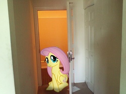 Size: 1600x1200 | Tagged: safe, artist:bjtmugen, fluttershy, pony, g4, doorway, irl, photo, ponies in real life