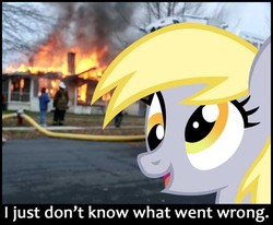 Size: 508x418 | Tagged: safe, artist:durpy, derpy hooves, pony, g4, disaster girl, fire, irl, meme, photo, ponies in real life, vector