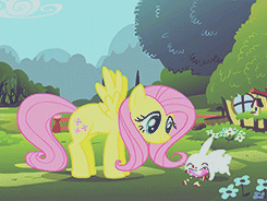 Size: 245x184 | Tagged: safe, screencap, angel bunny, fluttershy, g4, animated, opening