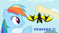 Size: 900x502 | Tagged: dead source, safe, artist:fuloljk, edit, edited screencap, screencap, fluttershy, rainbow dash, bat, pony, yellow-striped bat, g4, may the best pet win, female, mare, spread wings, upside down, wings