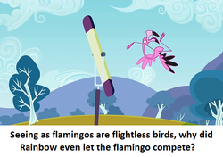 Size: 640x451 | Tagged: safe, edit, edited screencap, screencap, flamingo, g4, may the best pet win, calibri, fail, meta, text, you fail ornithology forever