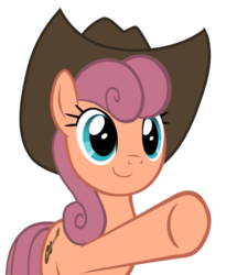 Size: 790x920 | Tagged: safe, artist:aggressively pastel, wildwood flower, earth pony, pony, g4, the last roundup, background pony, cowboy hat, female, hat, hooves, mare, perspective, pointing, simple background, solo, svg, transparent background, underhoof, vector, wildwood flower's hat