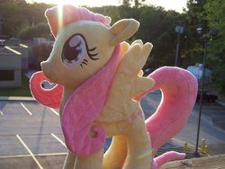 Size: 1024x768 | Tagged: safe, artist:eebharas, fluttershy, pegasus, pony, g4, irl, outdoors, photo, plushie, solo