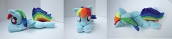 Size: 1575x357 | Tagged: safe, artist:catnapcaps, rainbow dash, pegasus, pony, g4, beanie (plushie), folded wings, irl, lying down, multiple views, photo, plushie, prone, solo, squeaky, wings