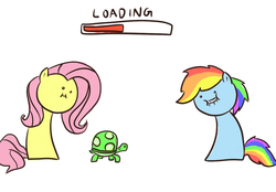 Size: 1293x902 | Tagged: safe, artist:poptart36, fluttershy, rainbow dash, tank, g4, trio, wut face