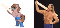 Size: 900x425 | Tagged: safe, human, hacksaw jim duggan, irl, irl human, male, photo, ponified, simple background, stallion, transparent background, wwe