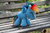 Size: 900x600 | Tagged: safe, artist:craftedkansas, rainbow dash, pegasus, pony, g4, amigurumi, bench, crochet, doll, irl, outdoors, photo, plushie, solo, spread wings, toy, wings