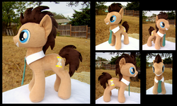 Size: 1767x1059 | Tagged: safe, artist:fireflytwinkletoes, doctor whooves, time turner, earth pony, pony, g4, collar, irl, male, multiple views, necktie, outdoors, photo, plushie, solo, stallion