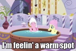 Size: 847x567 | Tagged: safe, edit, edited screencap, screencap, fluttershy, pinkie pie, earth pony, pony, g4, ponyville confidential, caption, hot tub, image macro, implied pissing, implied urine, mid-life crustacean, out of context, reference, spa, spongebob reference, spongebob squarepants